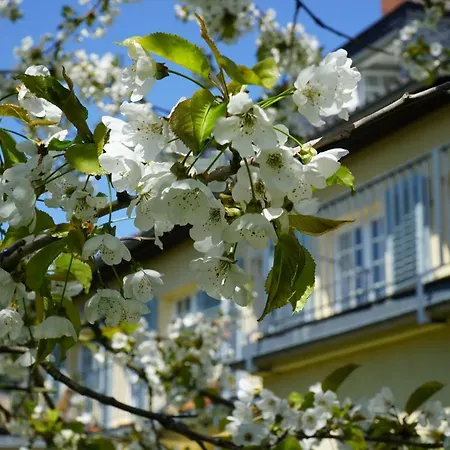 Weimar-appartement